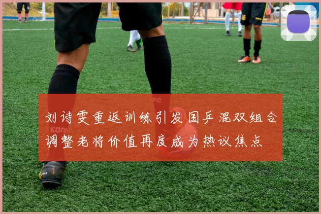 刘诗雯重返训练引发国乒混双组合调整老将价值再度成为热议焦点