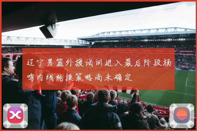 辽宁男篮外援试训进入最后阶段杨鸣内线轮换策略尚未确定